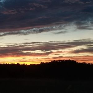 Meet your Posher, Rich